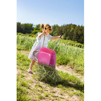 Brouette enfant en métal rose - Rollytoys 274802