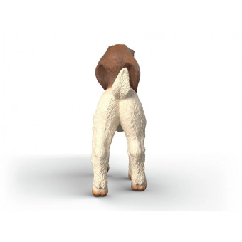 Chevreau Boer - Schleich 14930