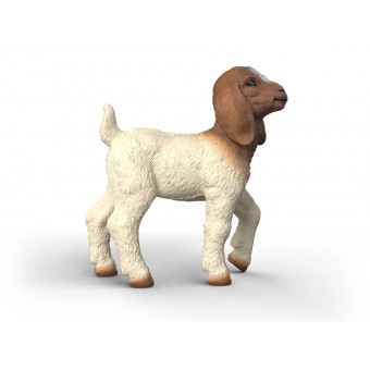 Chevreau Boer - Schleich 14930
