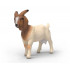 Chèvre Boer - Schleich 14930