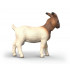 Chèvre Boer - Schleich 14930