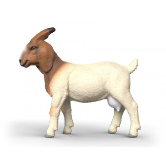 Chèvre Boer - Schleich 14930