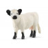 Vache Galloway - Schleich 13960