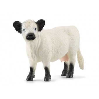 Vache Galloway - Schleich 13960