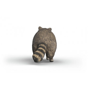 Raton Laveur - Schleich 14937