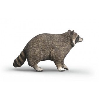 Raton Laveur - Schleich 14937