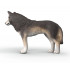 Loup Américain - Schleich 14991