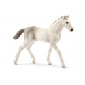 Poulain Holstein - Schleich 13860