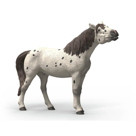 Cheval Hongre Knabstrupper - Schleich 14916