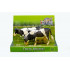 Set de 2 vaches noires et blanches - Kids Globe