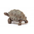 Tortue géante - Schleich