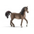 Etalon Arabe - Schleich