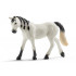 Jument Arabe - Schleich