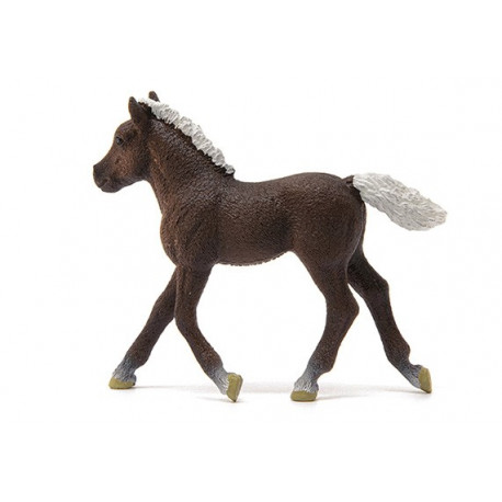 Poulain Forêt-Noire - Schleich