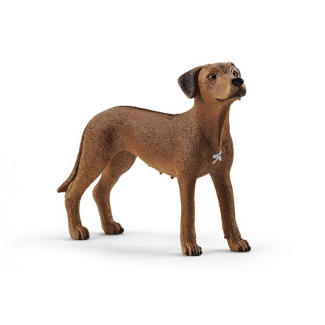 Chien de Rhodésie à crête dorsale - Schleich