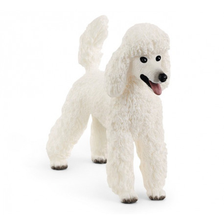 Chien Caniche - Schleich