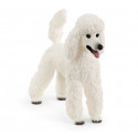 Chien Caniche - Schleich