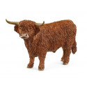 Taureau Highland - Schleich