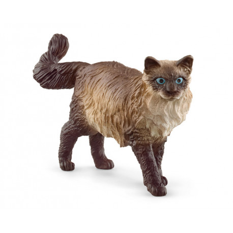 Chat Ragdoll - Schleich - 13940