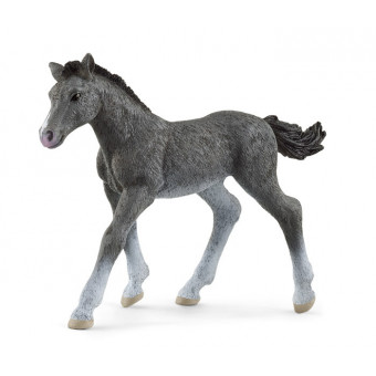 Poulain Trakehnen - Schleich - 13944