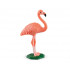 Flamant rose - Schleich 14849