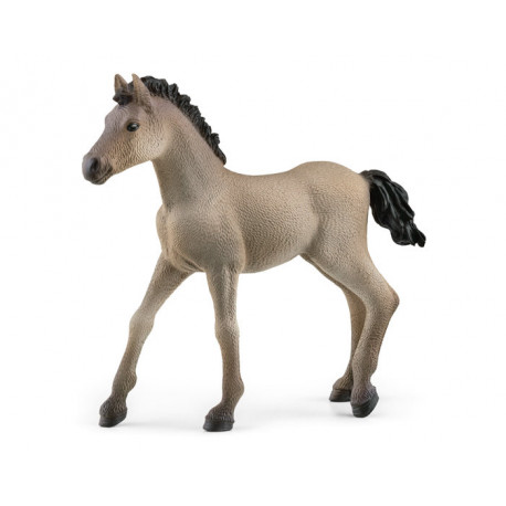 Poulain Criollo Definitivo - Schleich - 13949