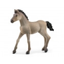 Poulain Criollo Definitivo - Schleich - 13949