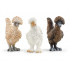 Trio de poules amies - Schleich 42574